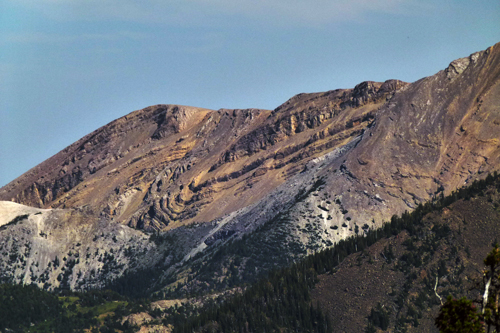 Commerical Application